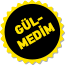 Gülmedim